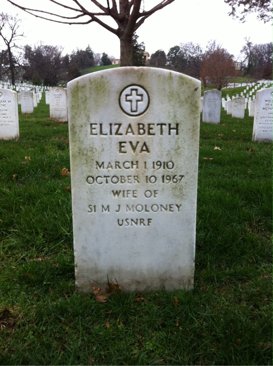 Elizabeth Moloney