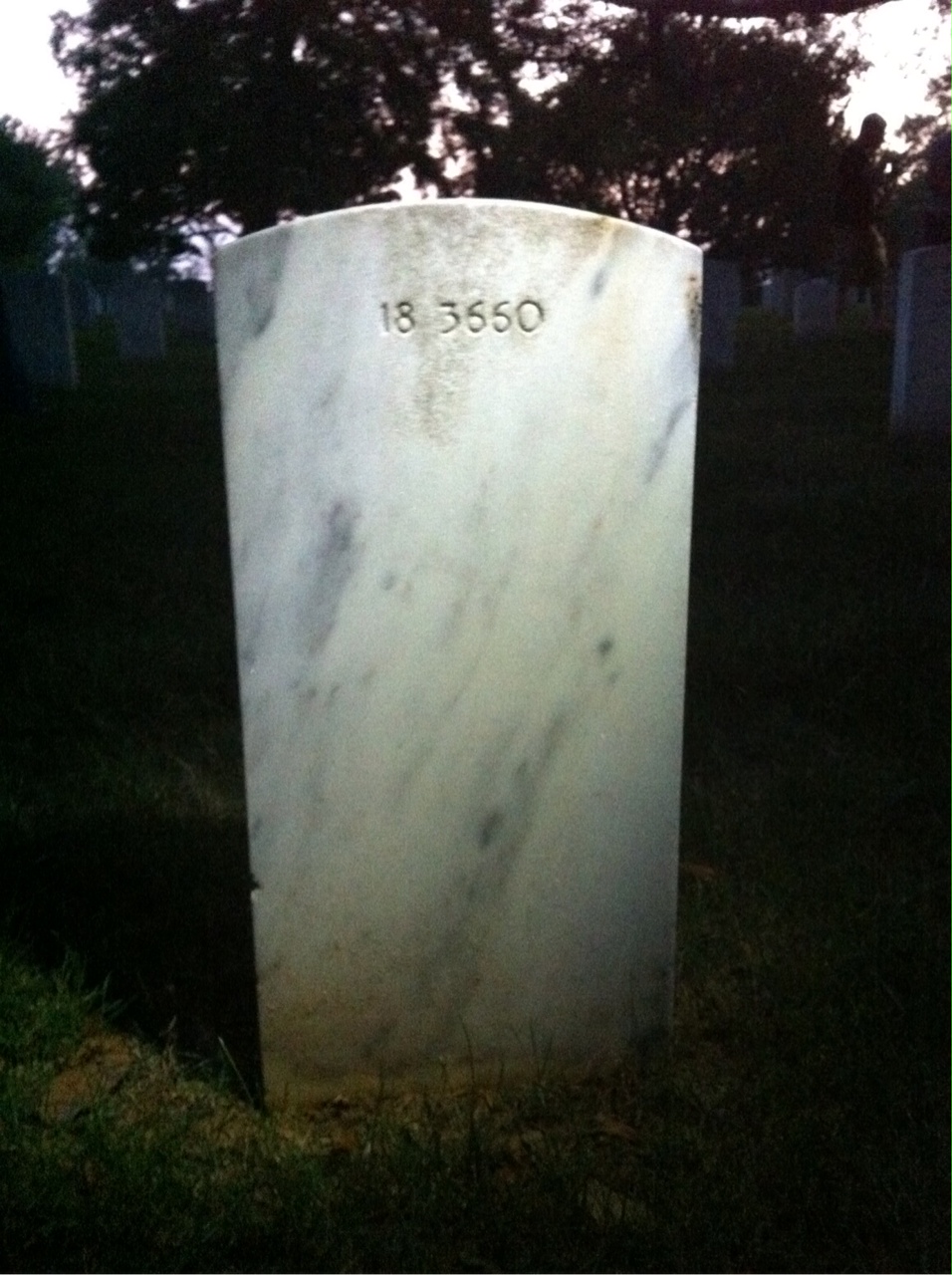 Back of headstone — Wesley Miller
