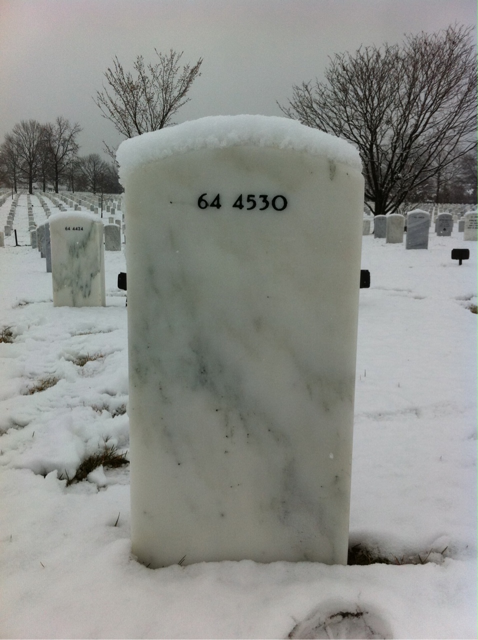 Back of headstone — Thomas Roy Coonan