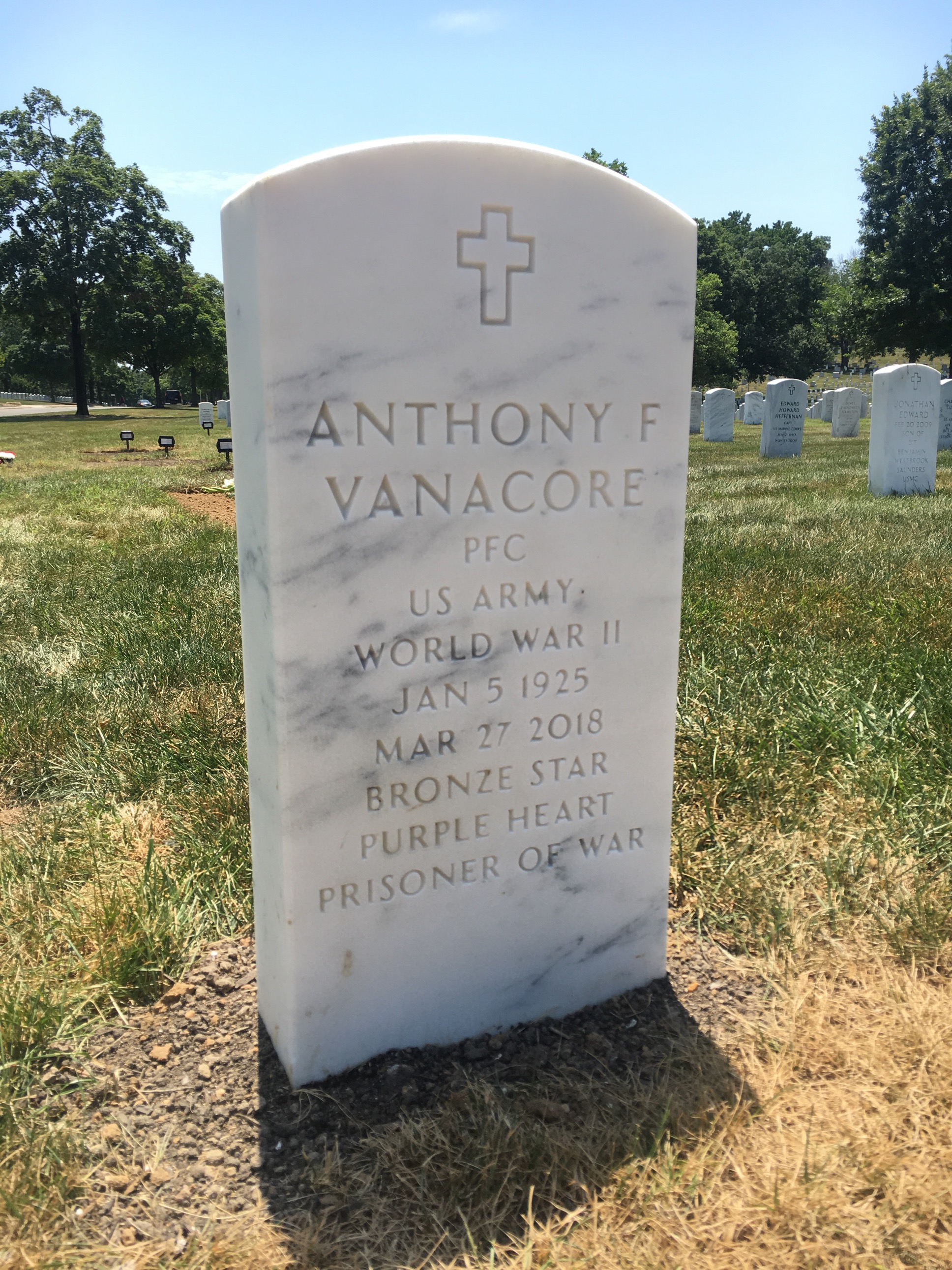 Anthony F Vanacore