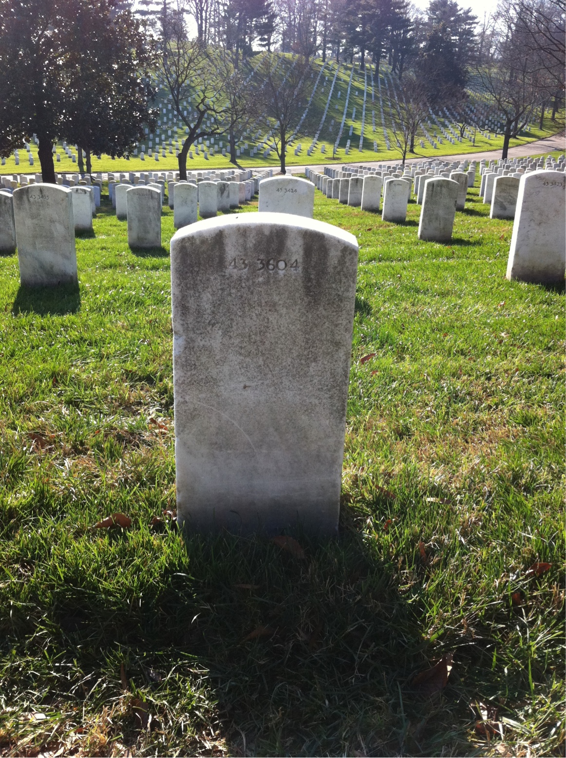 Back of headstone — Rollie Miller