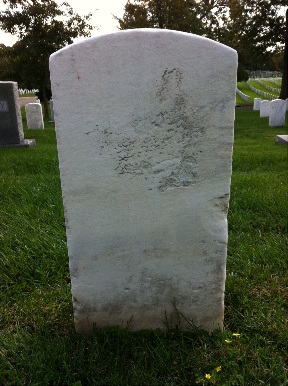 Back of headstone — Alford Bradford