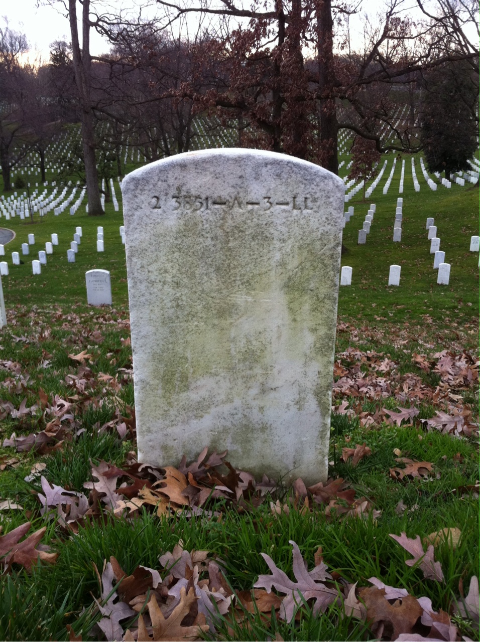 Back of headstone — William Bauer