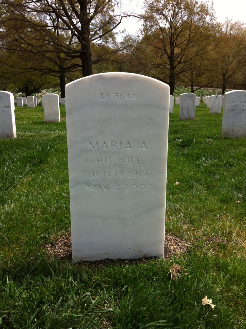 Back of headstone — William Ehrhart
