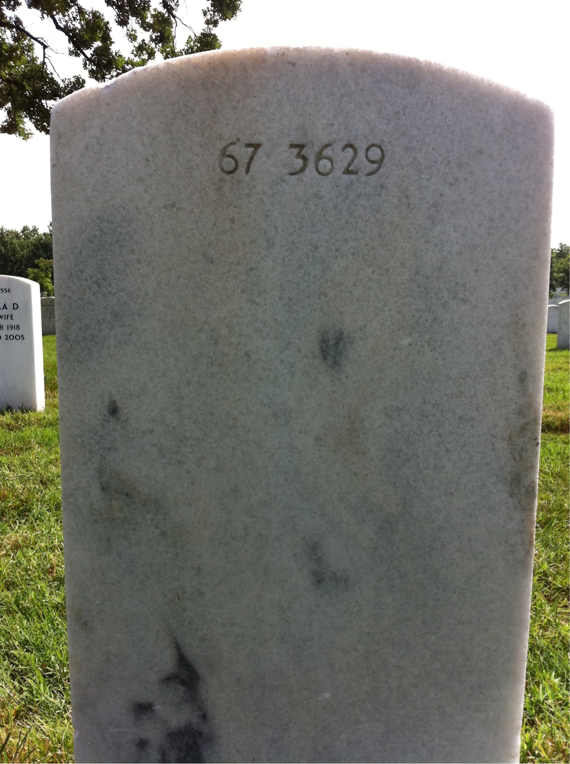 Back of headstone — Austin Adams