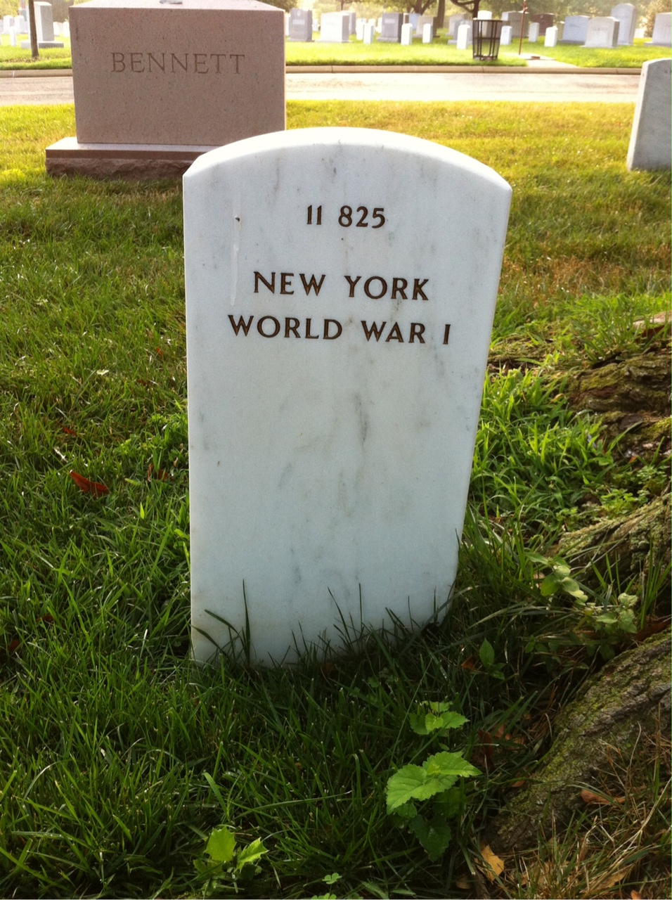 Headstone of Fred Schnepel
