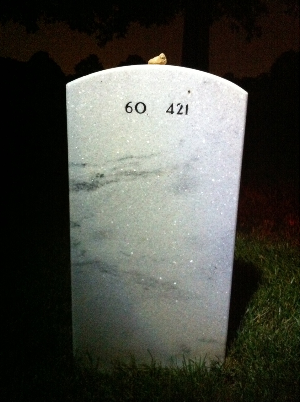 Back of headstone — Morris Dantzker