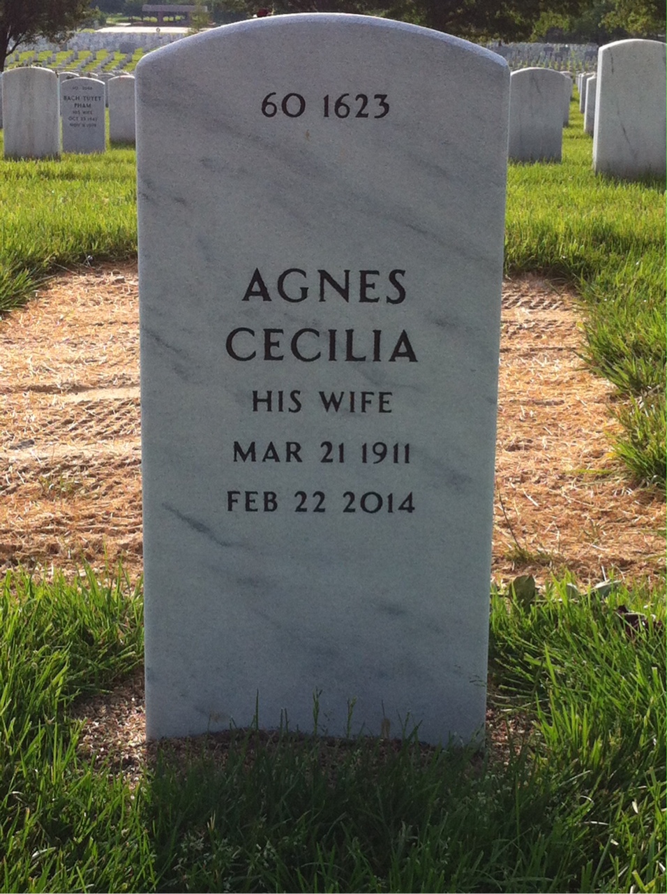 Back of headstone — Agnes Mccormack