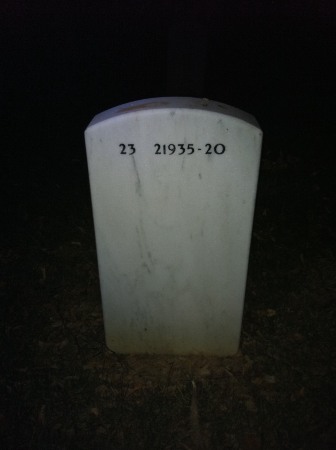 Back of headstone — Alfred Dobbs