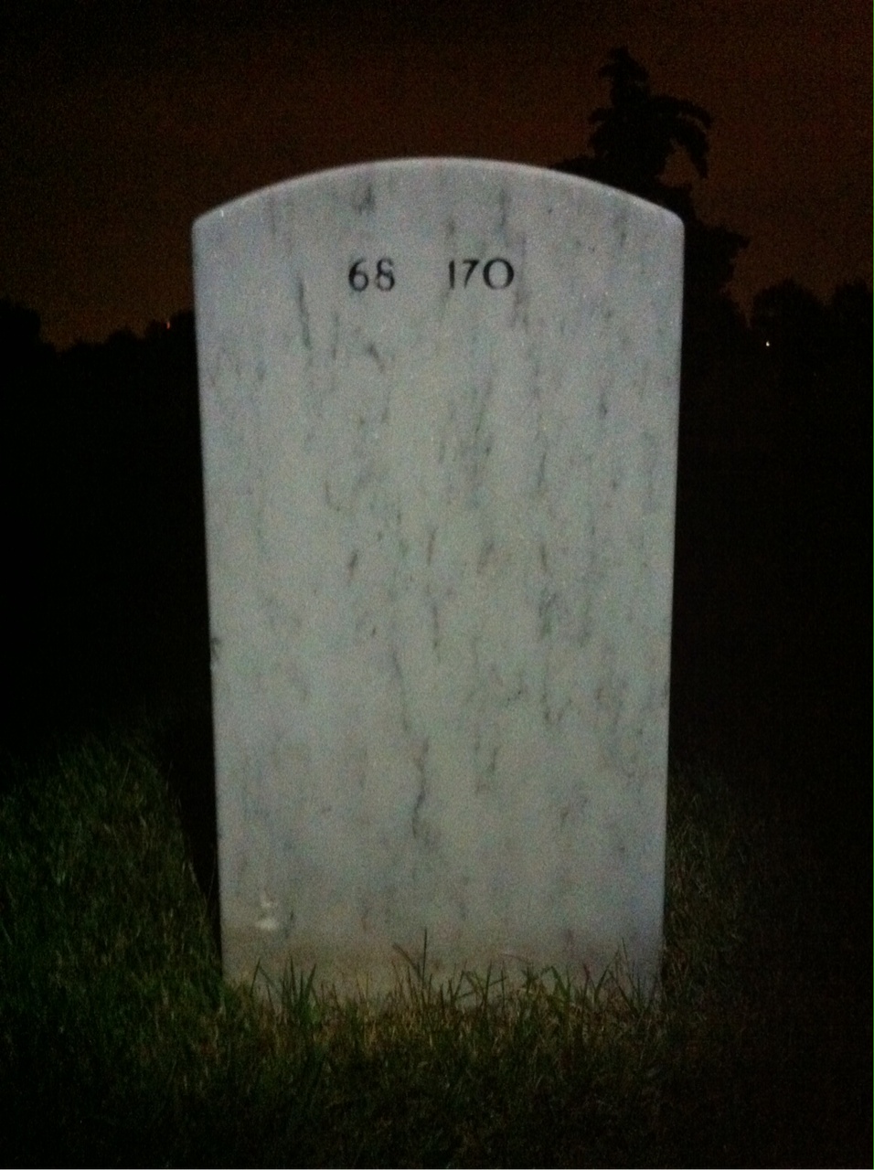 Back of headstone — Jesse Holland