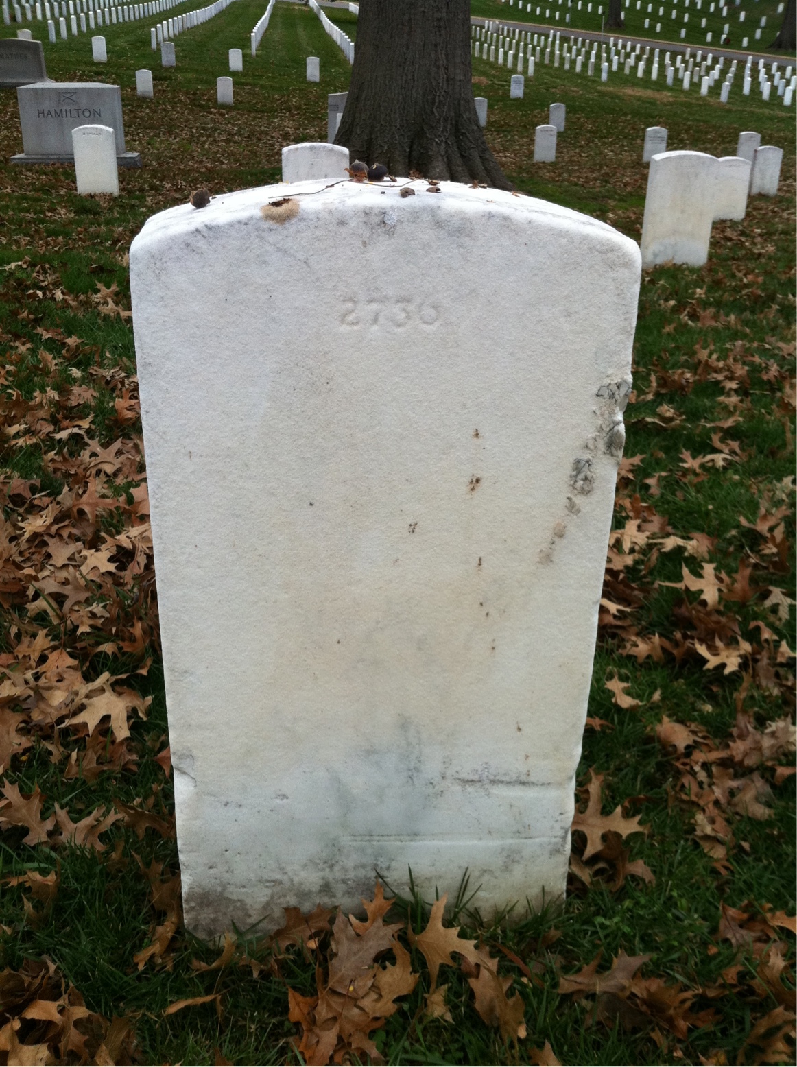 Back of headstone — Levi Anderson