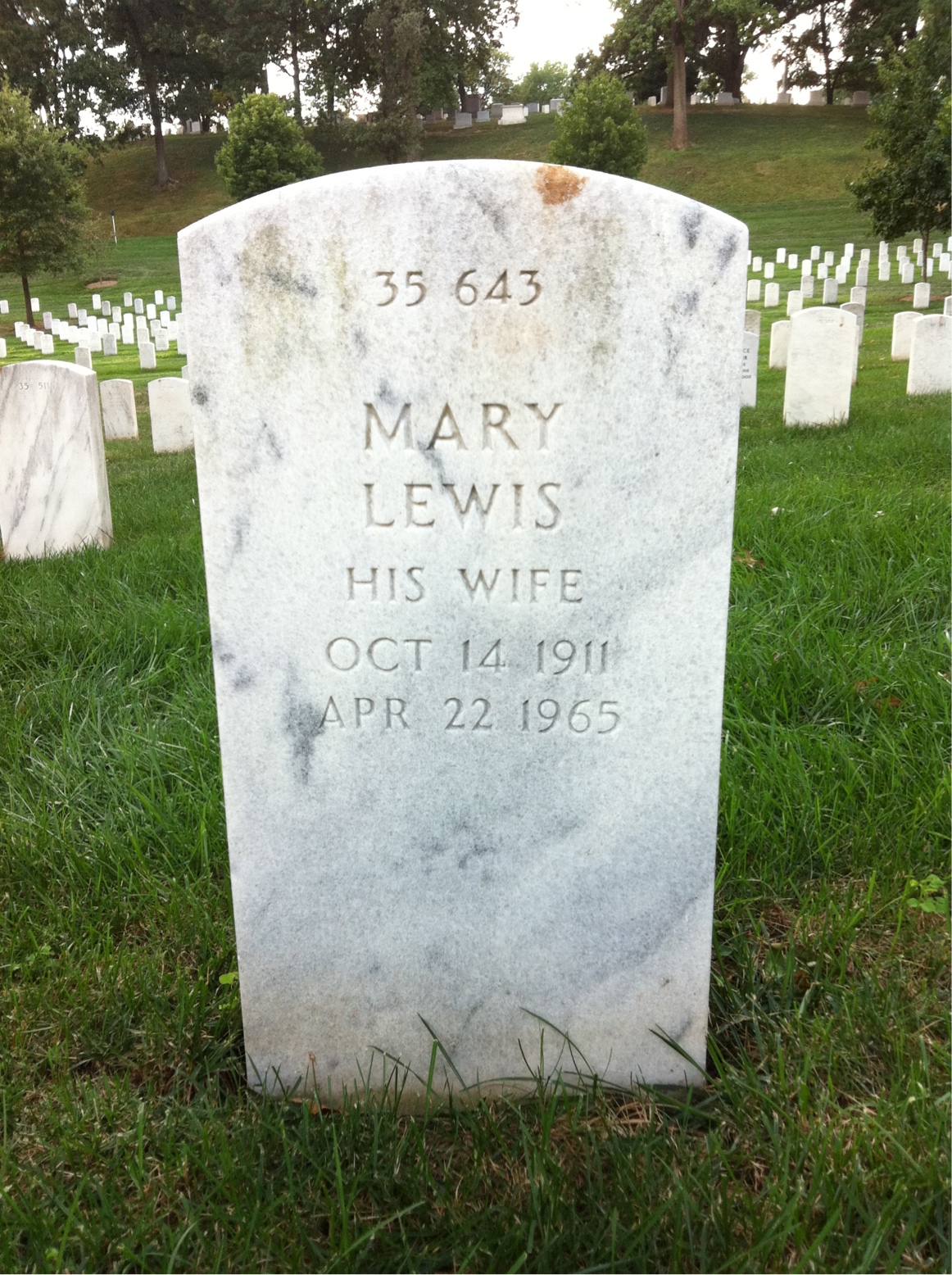 Back of headstone — Mary Mcnee