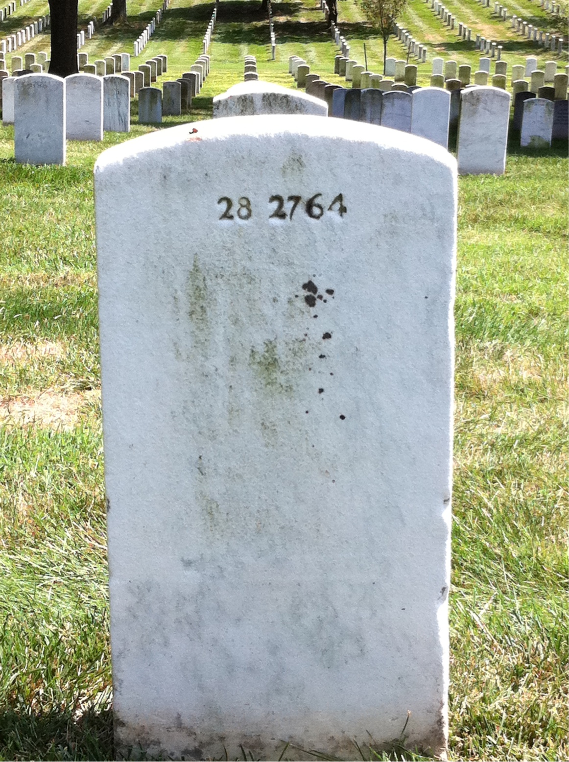 Back of headstone — Anthony Aiello