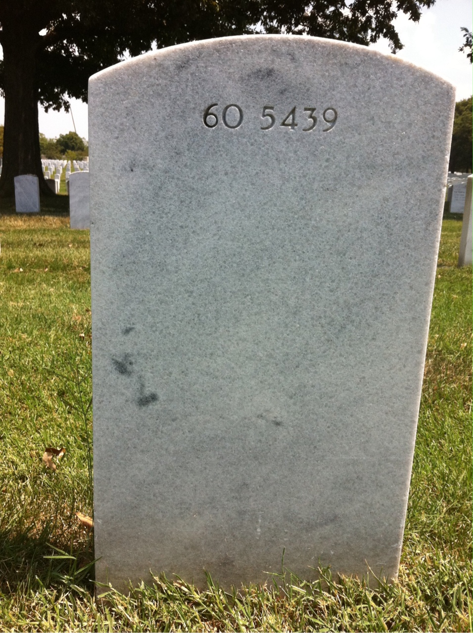 Back of headstone — William H Johnson