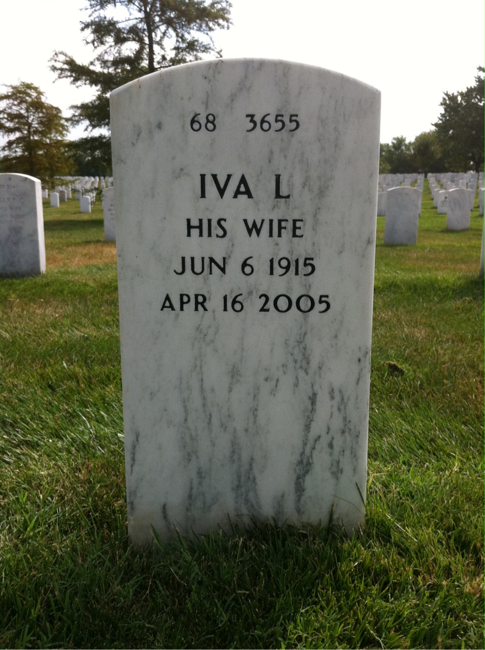 Back of headstone — Bernard Cohen