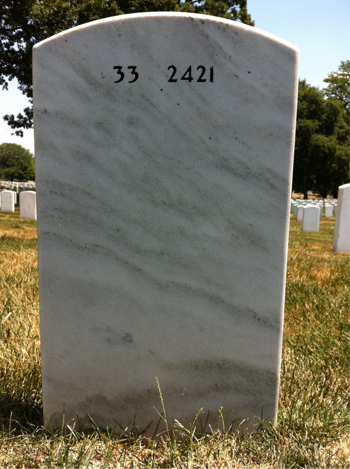 Back of headstone — David Altman