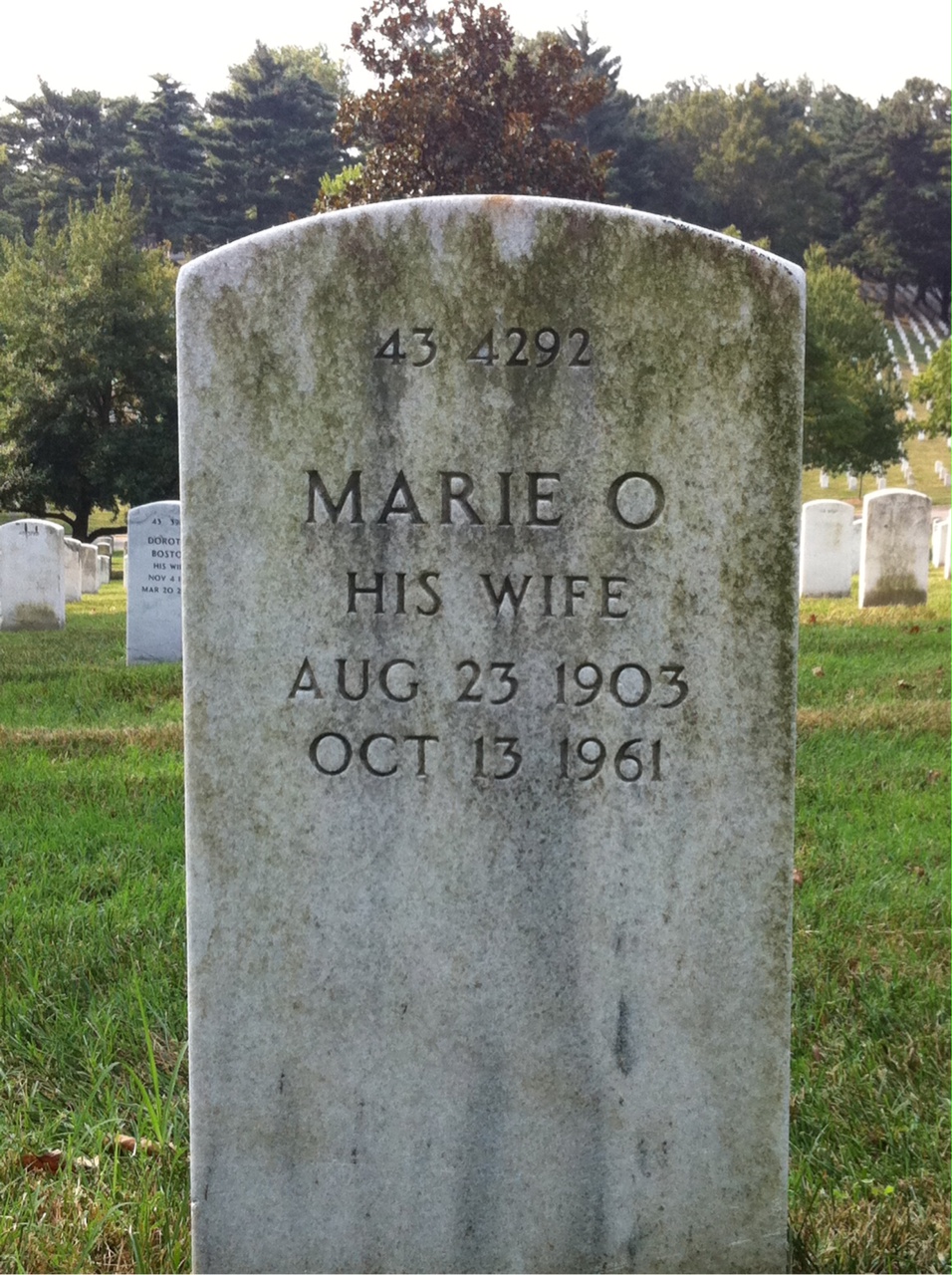 Back of headstone — Andrew Albin