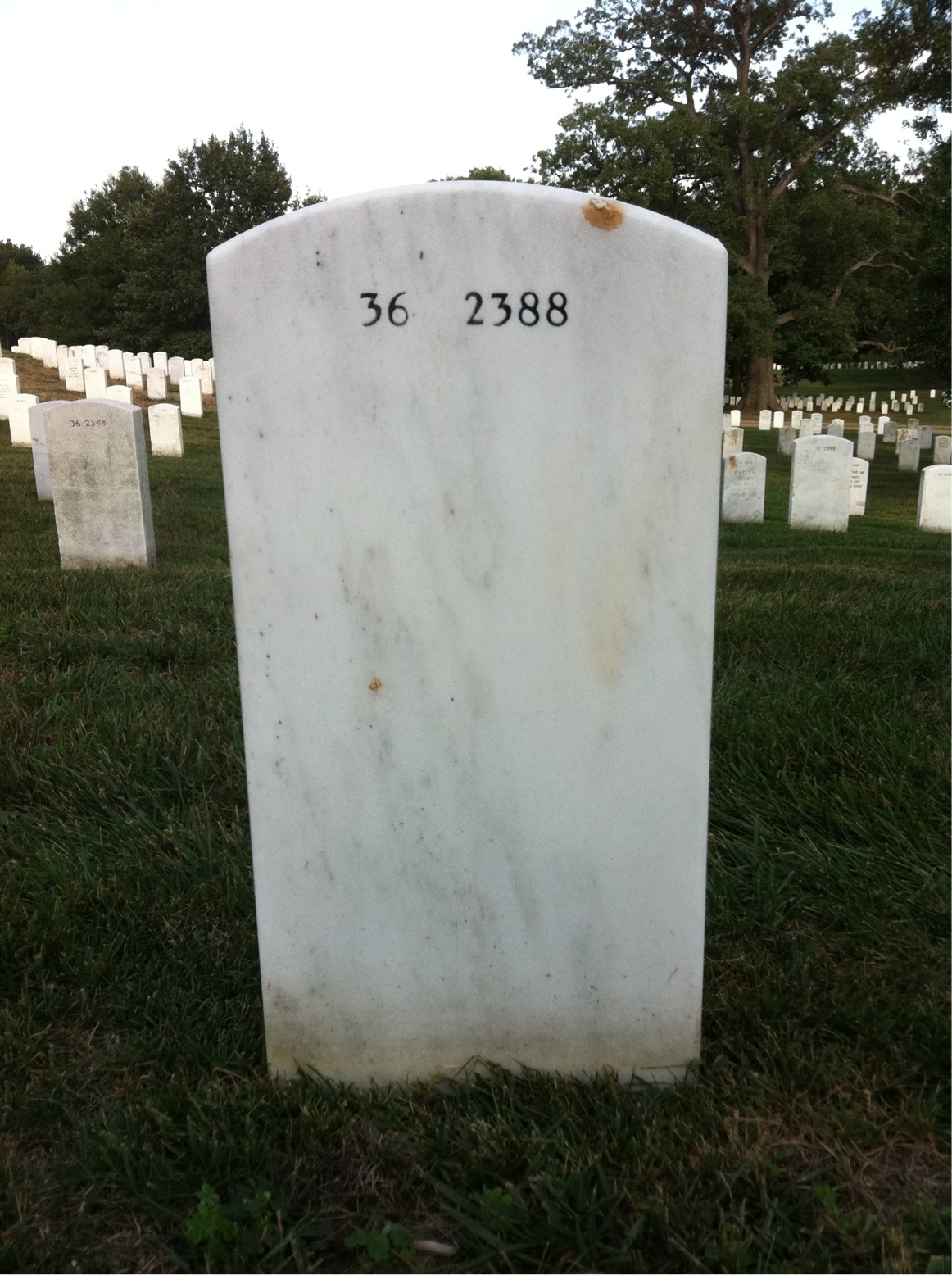 Back of headstone — Lester Joseph Cook