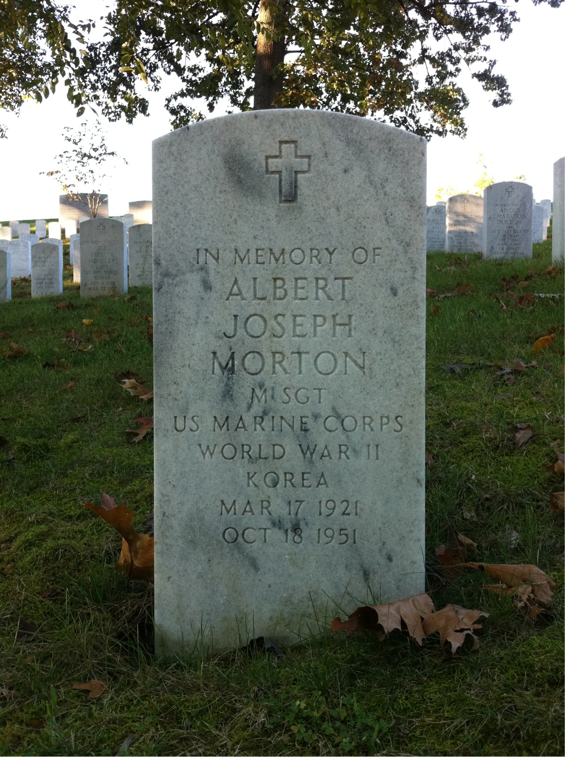 Albert Morton