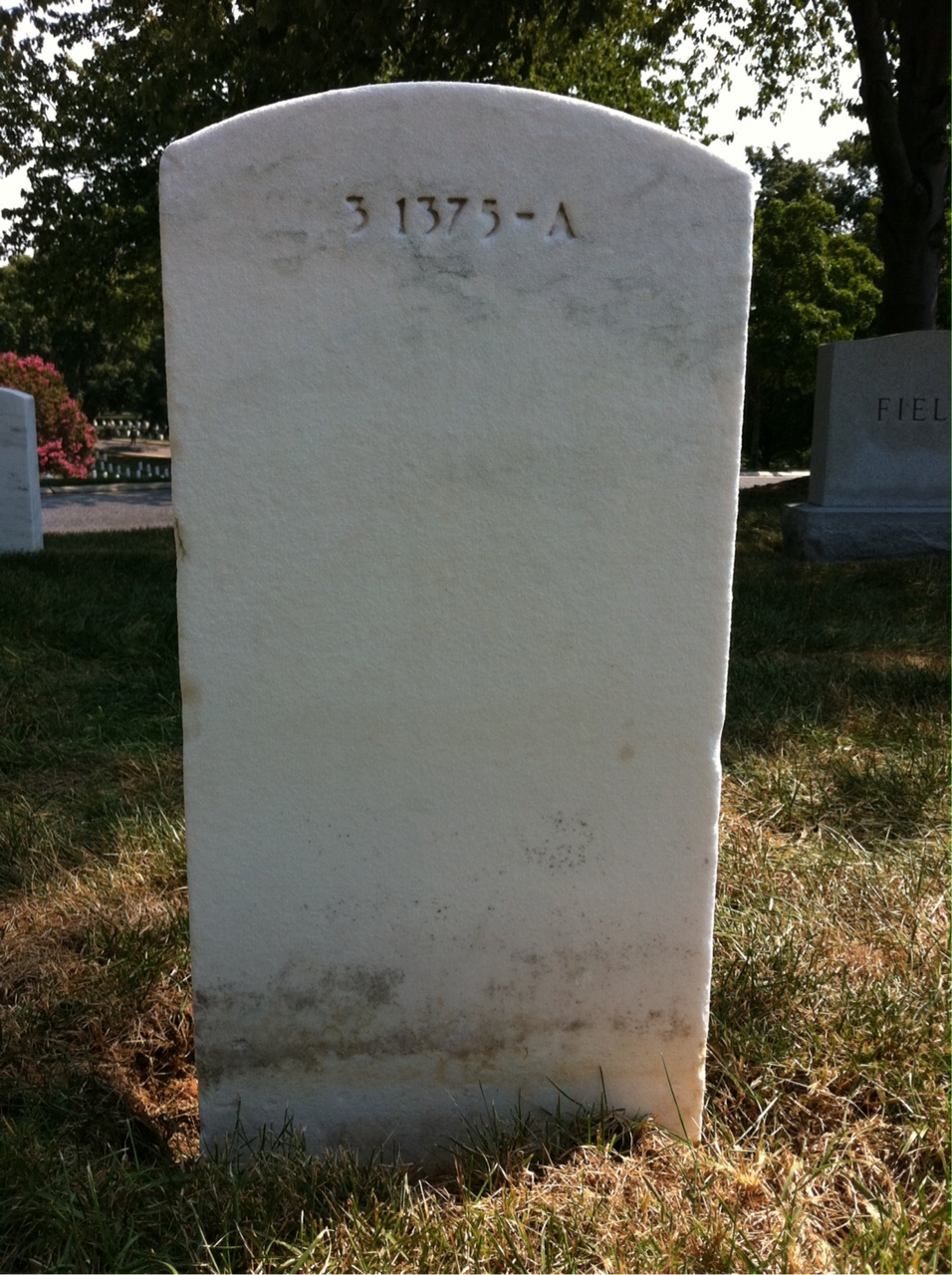Back of headstone — William Francis Rynne