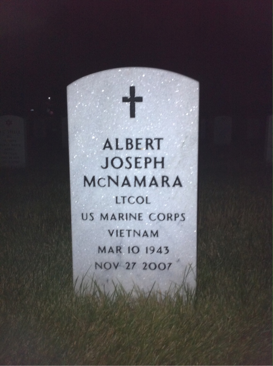Albert Mcnamara