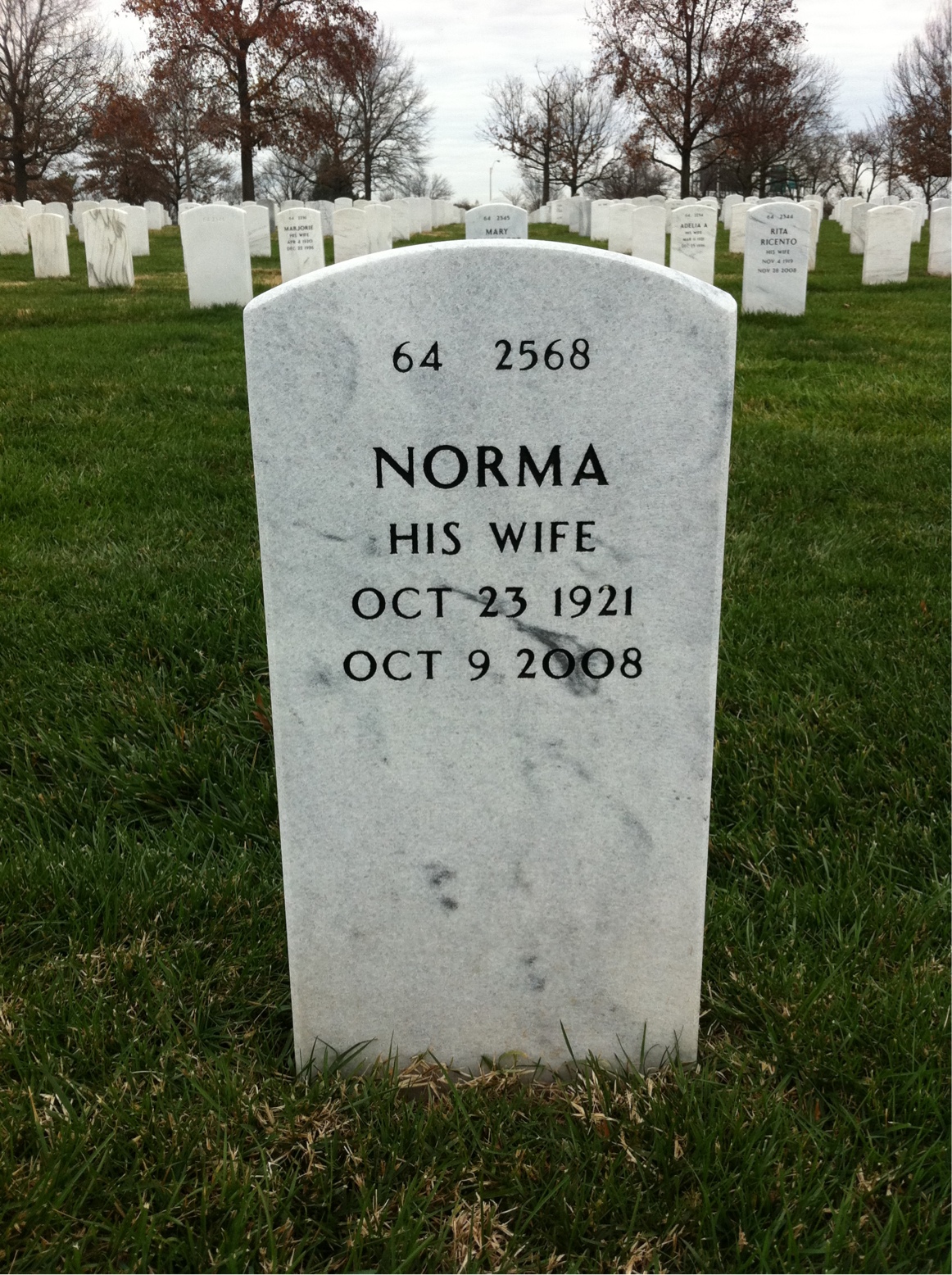 Back of headstone — Louis Volpicelli