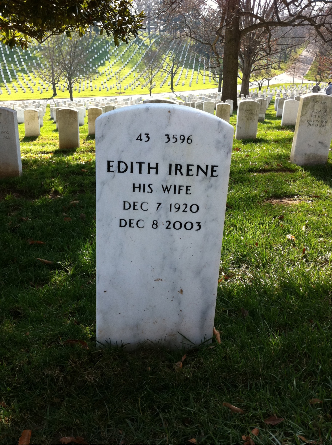 Back of headstone — Francis Millican