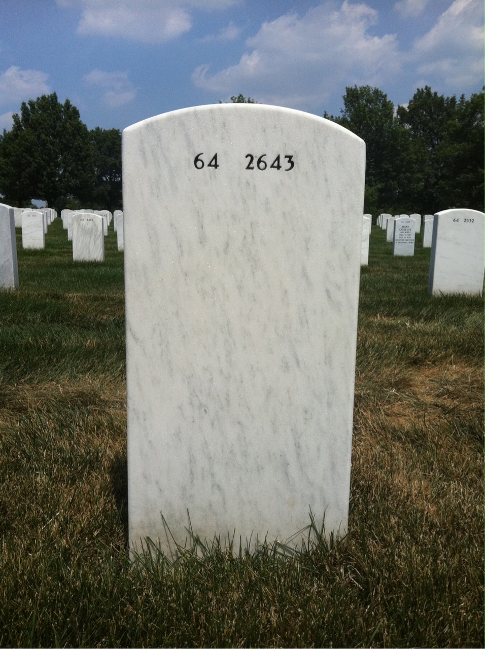 Back of headstone — Frank Painter