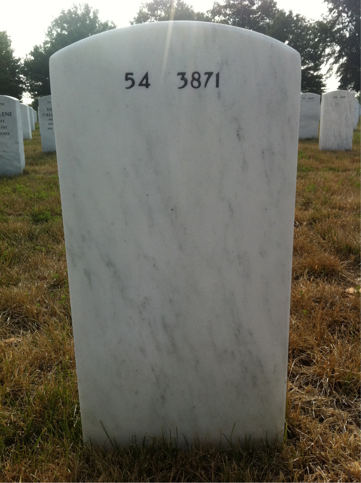 Back of headstone — Thomas Shanahan