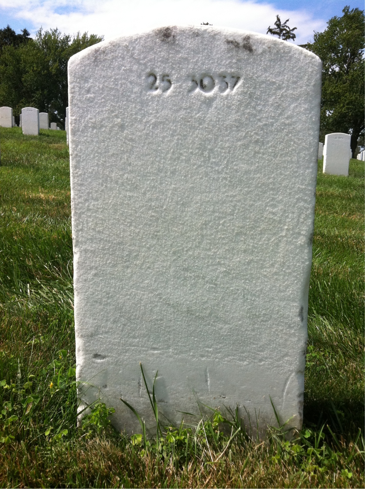 Back of headstone — Willie C Perry
