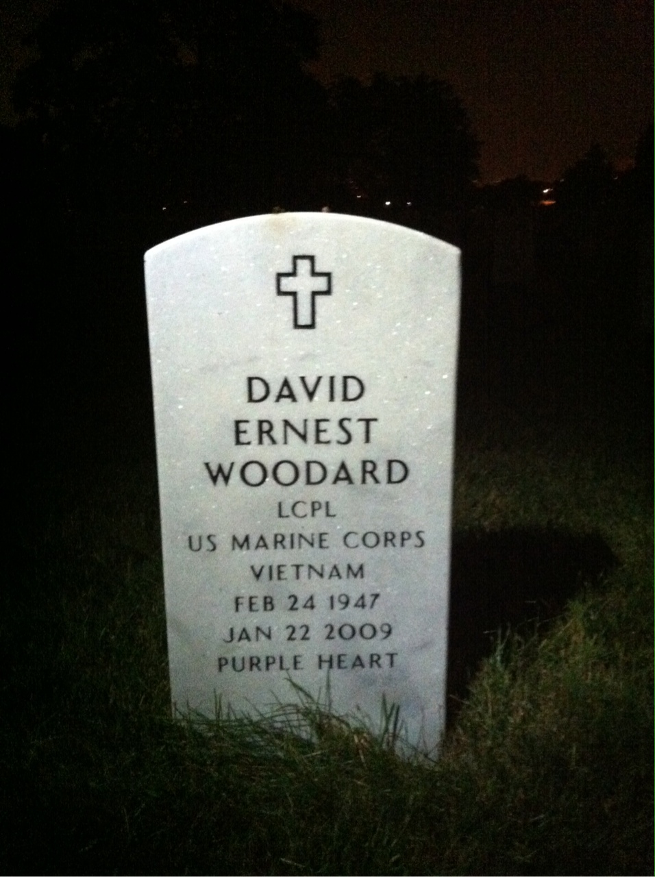 David Woodard