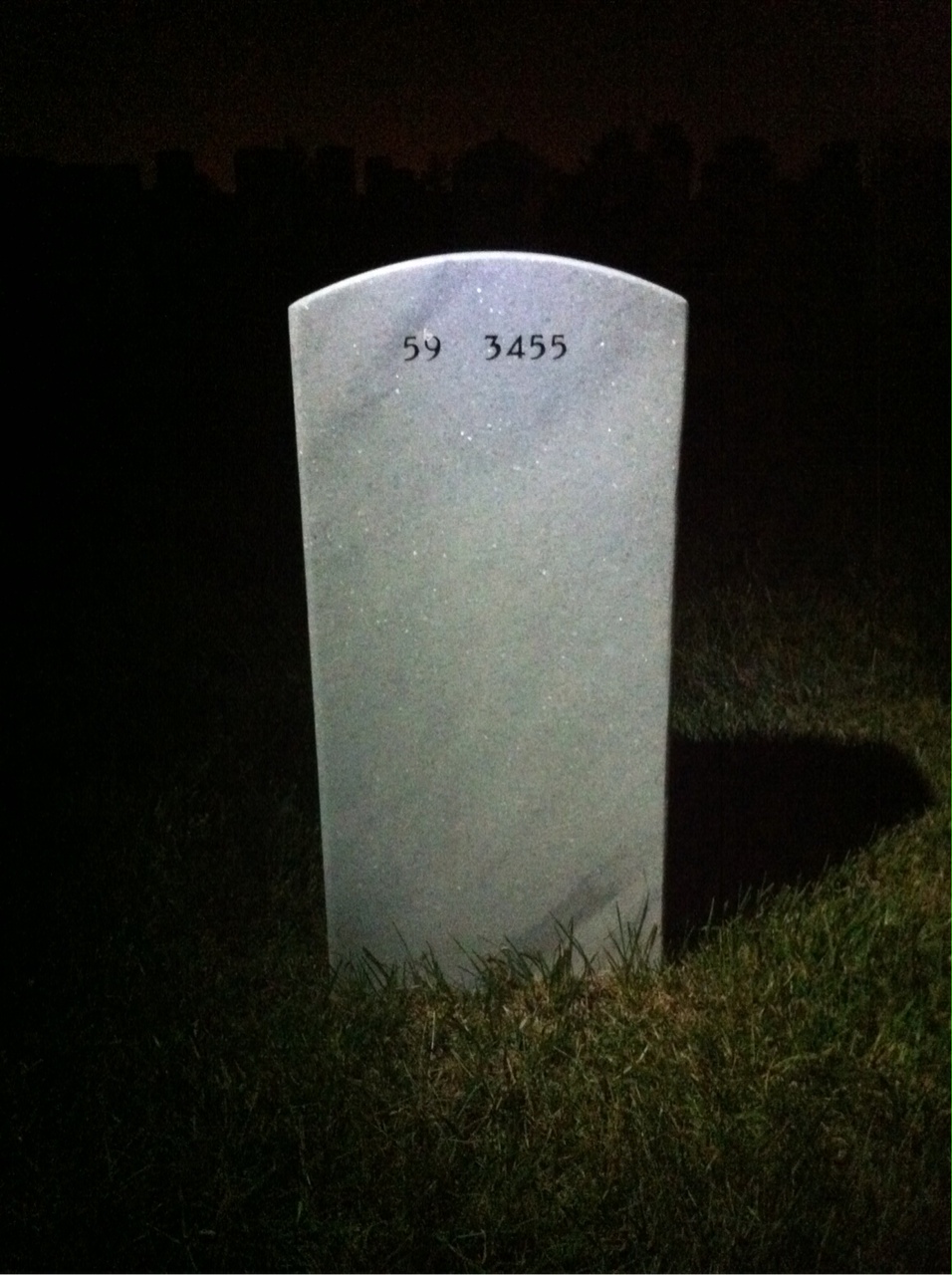 Back of headstone — Francis Tinsler