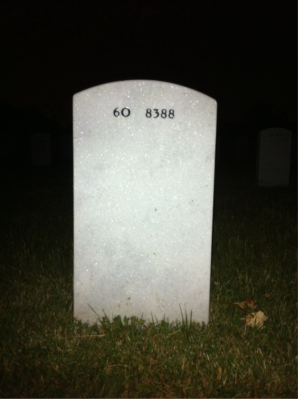 Back of headstone — Theron Newsome
