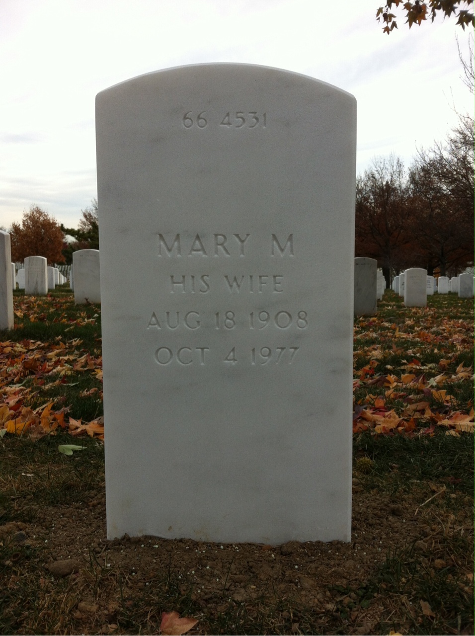 Back of headstone — Leo Gonano