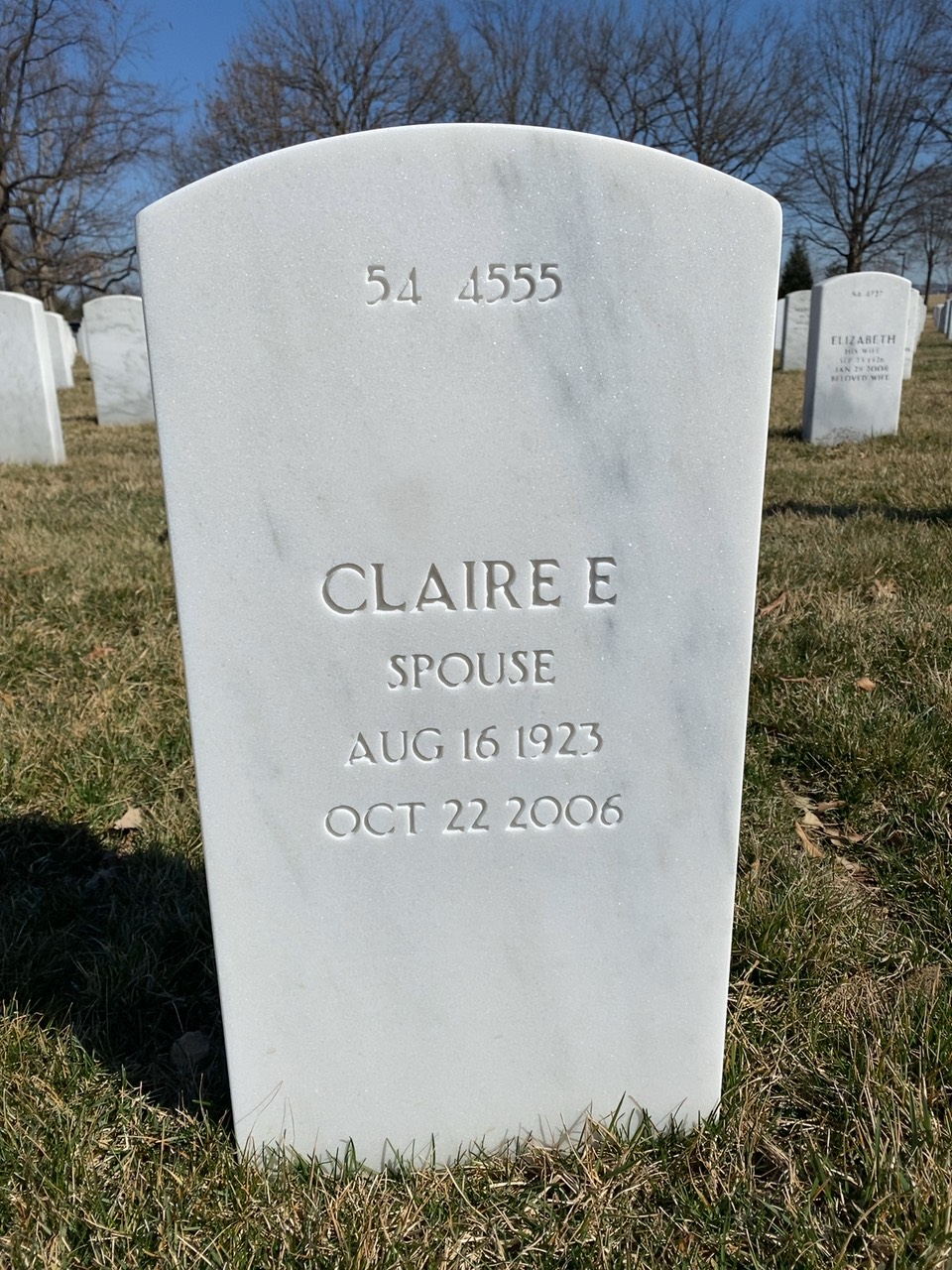 Back of headstone — Theodore Ross