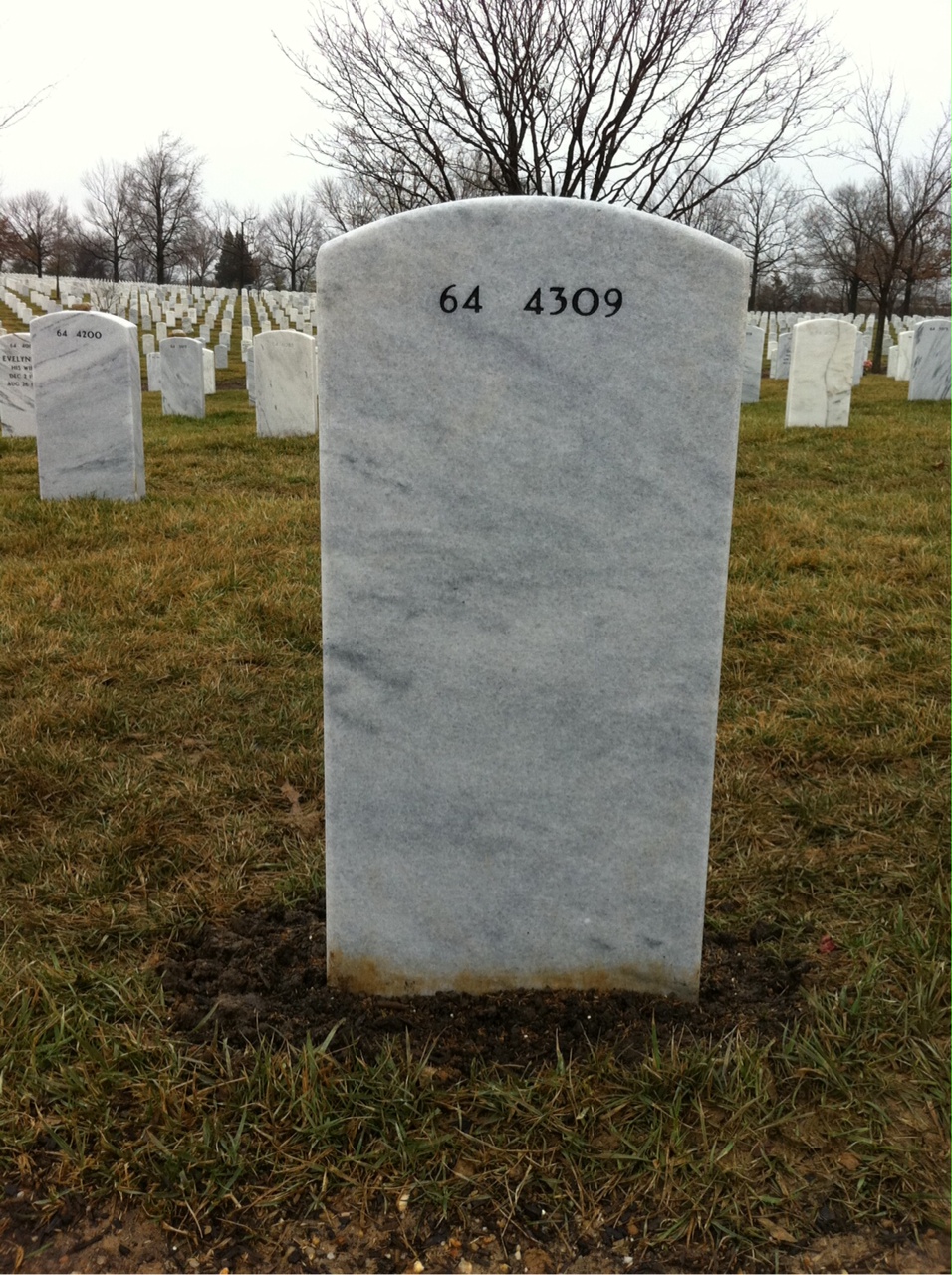 Back of headstone — Steven Arendt