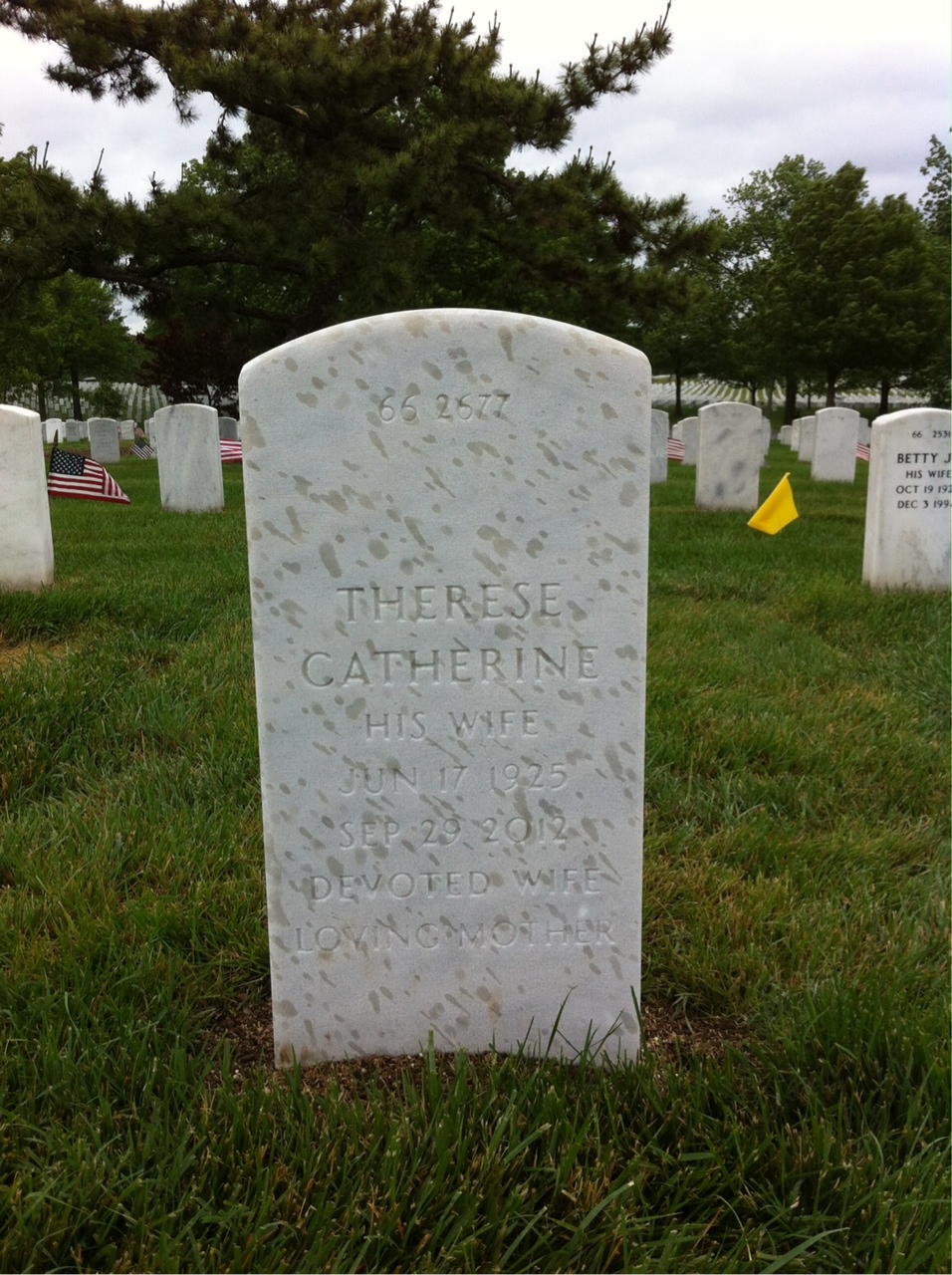 Back of headstone — Theodore Van Buren