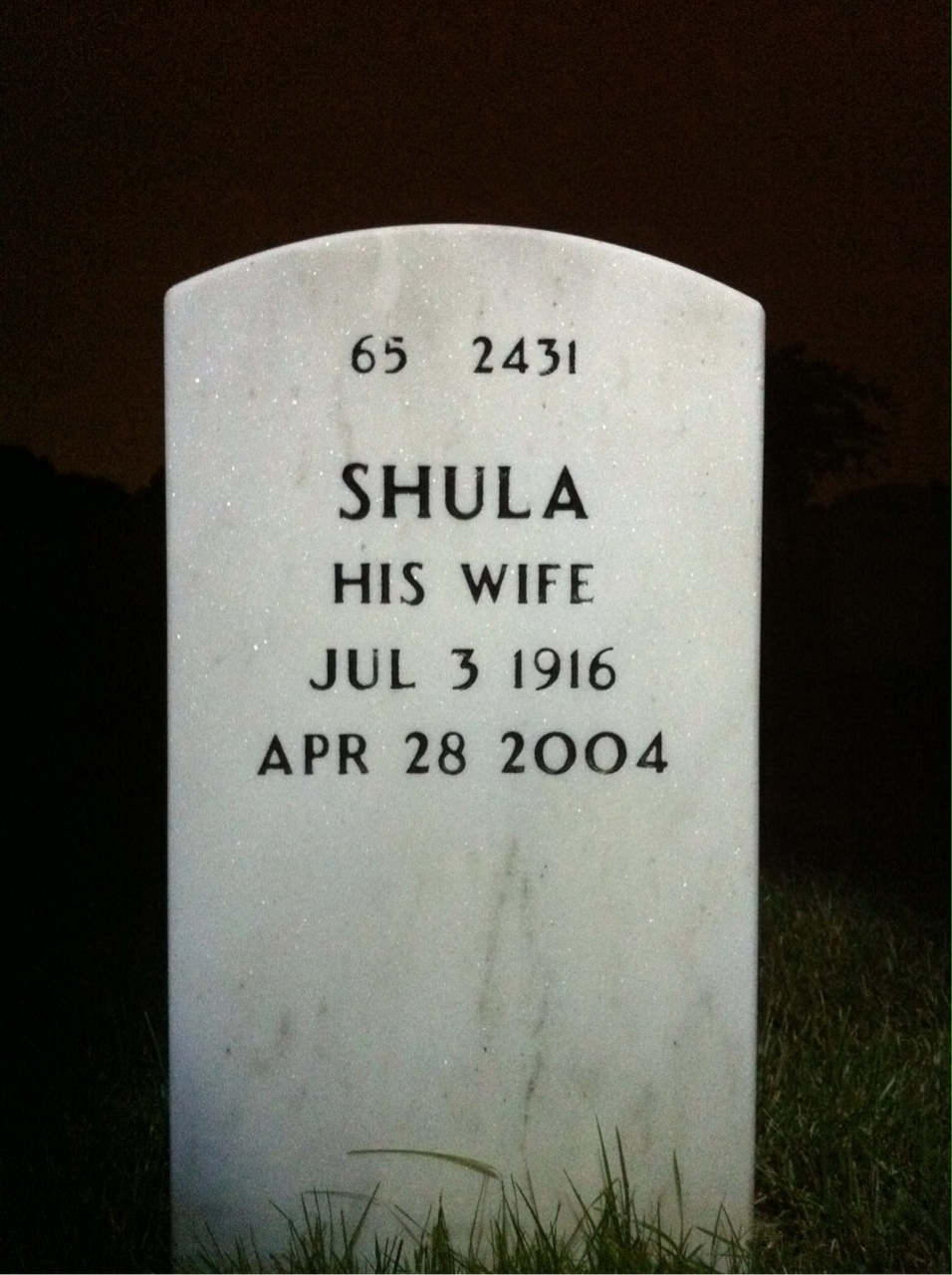 Back of headstone — Louis Schloegl