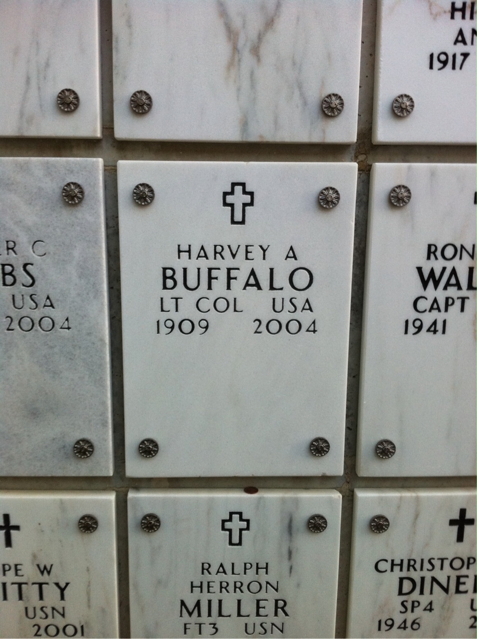 Harvey Buffalo