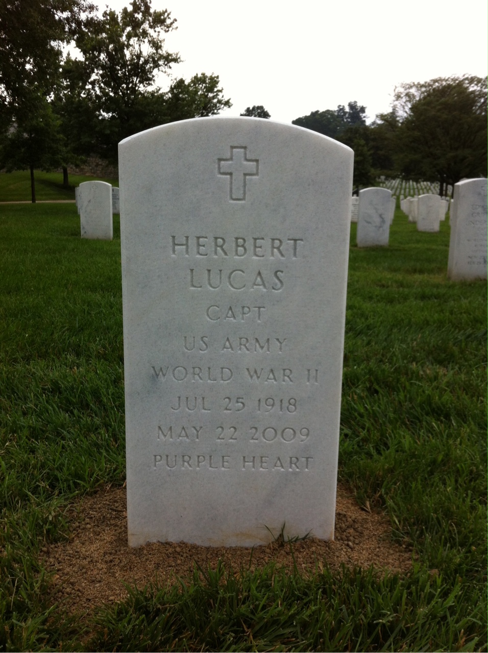 Herbert Lucas