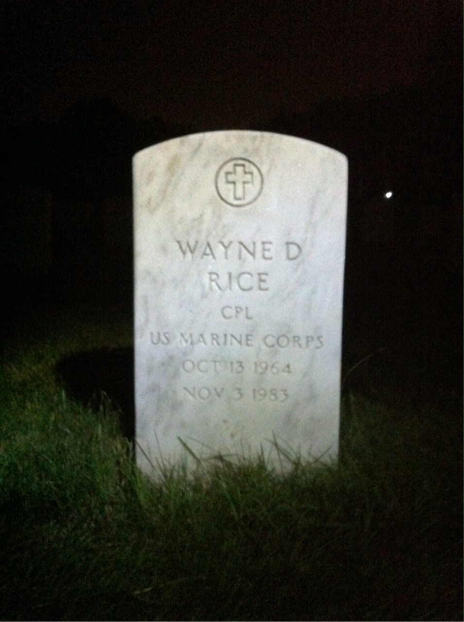 Wayne D Rice