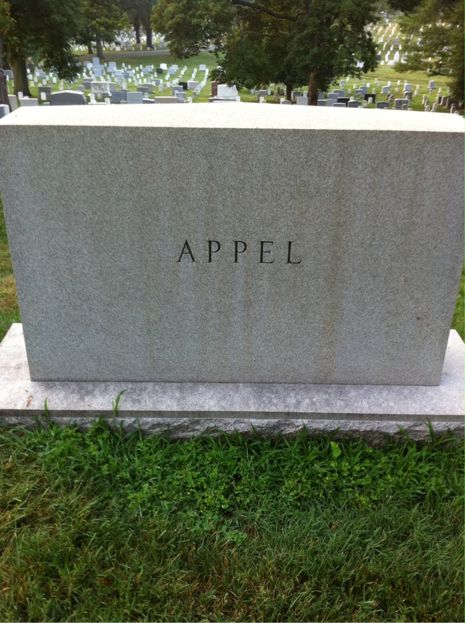 Back of headstone — Aaron Appel