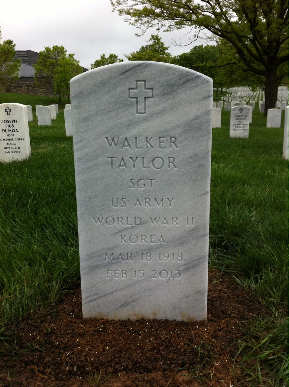 Walker Taylor