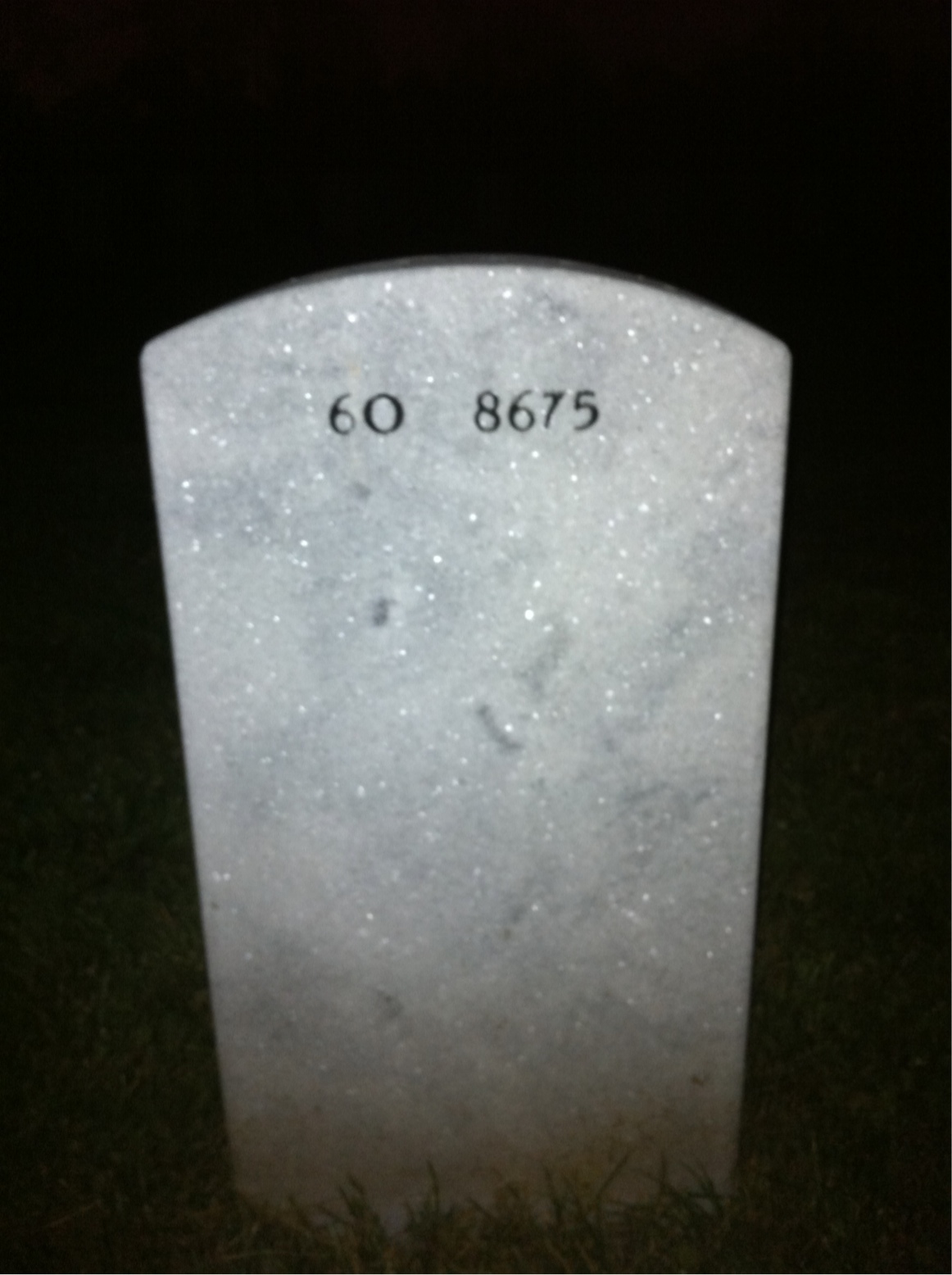 Back of headstone — Albert Forgue