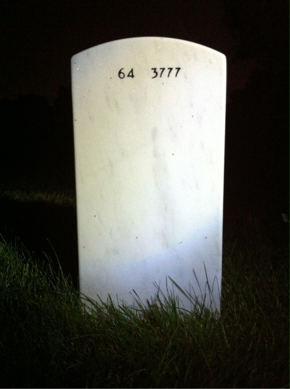 Back of headstone — Louis Rogers