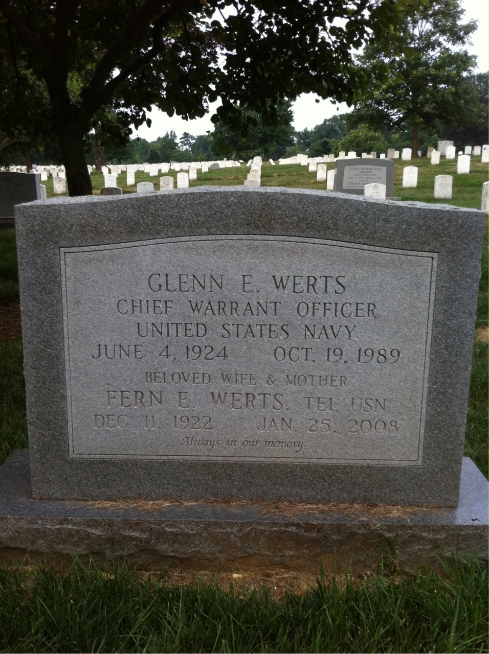 Fern Werts