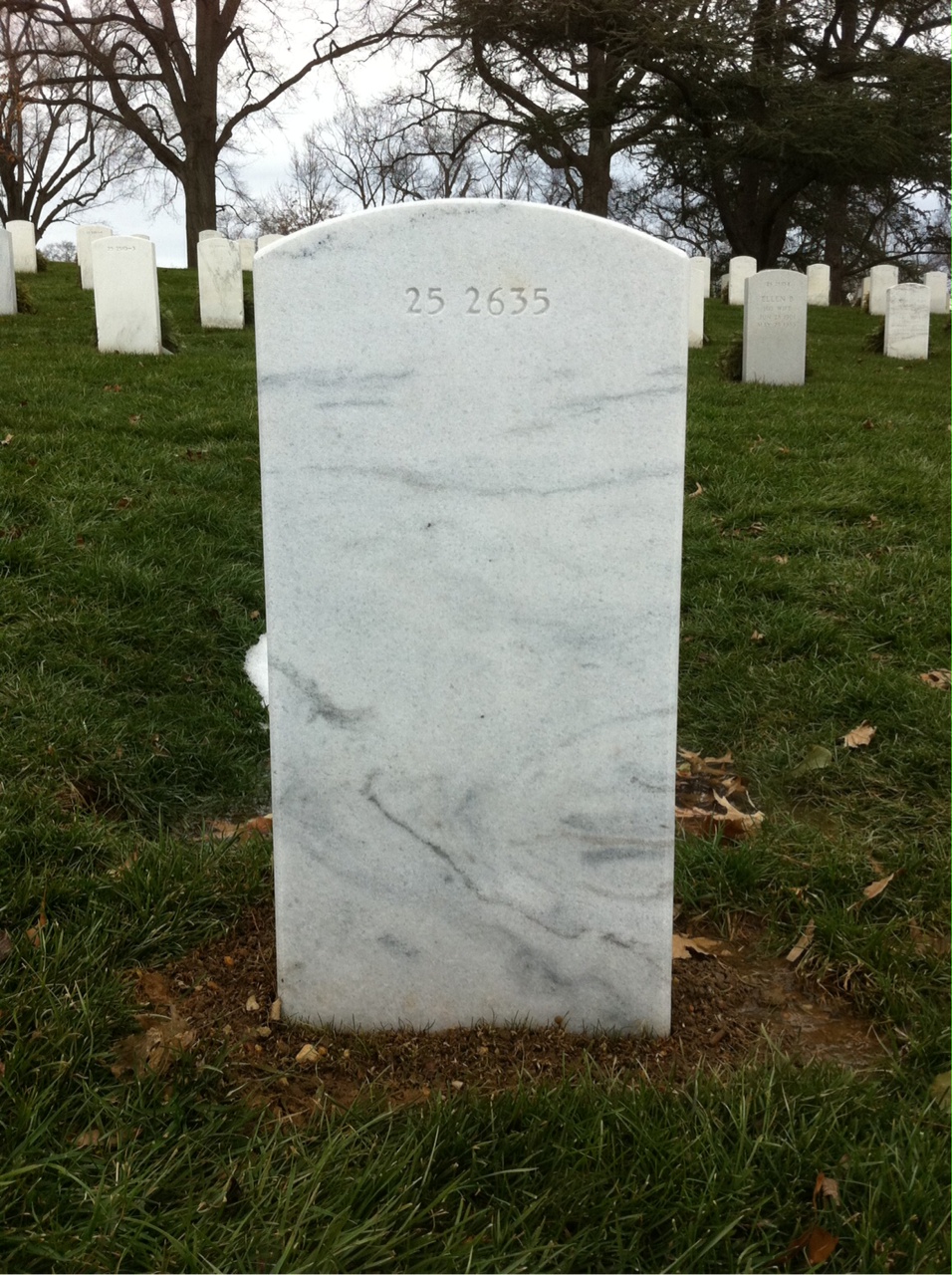 Back of headstone — Son Minh Le