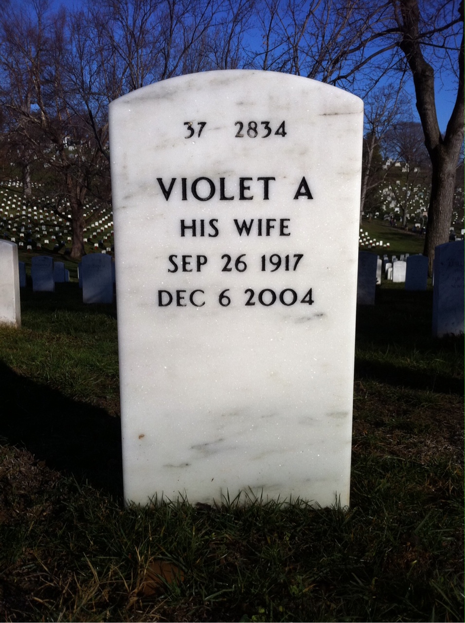 Back of headstone — Lewis Morrison