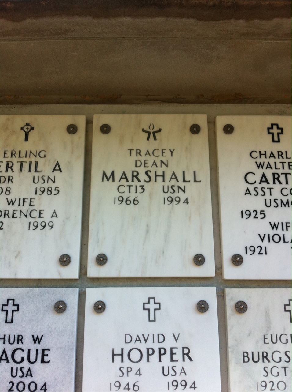 Tracey D Marshall
