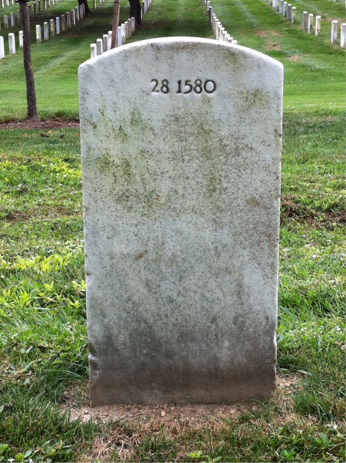 Back of headstone — James Bailey